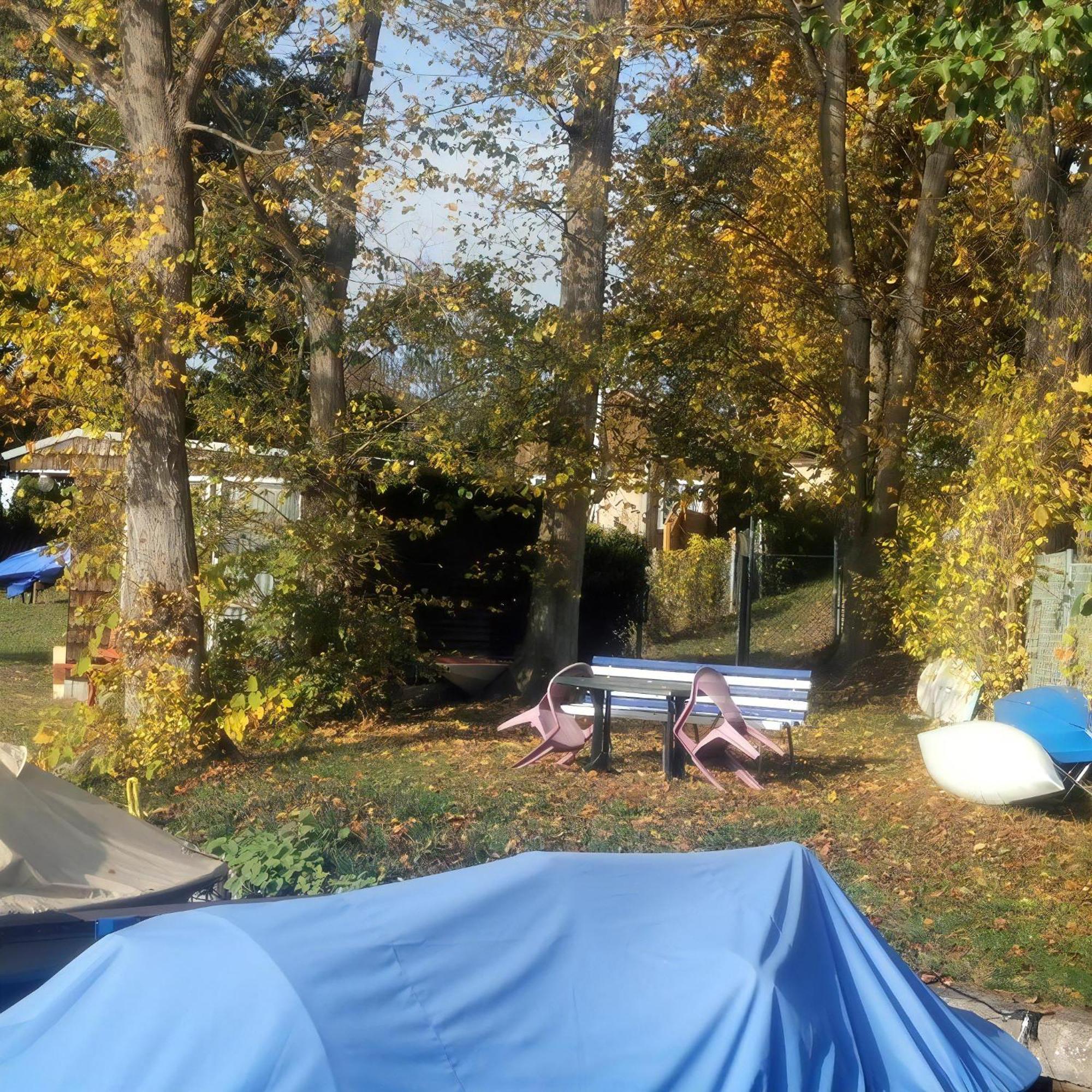 Ferienhaus In Mueggelheim Mit Eigener Terrasse Berlin Dış mekan fotoğraf